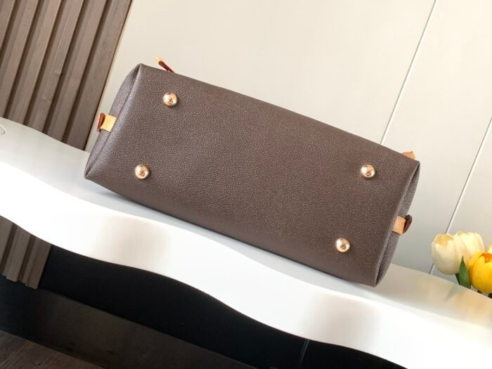 L46203V CarryAll PM - 图片 5
