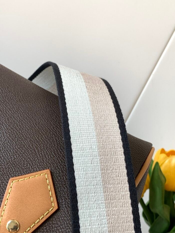 L46234V Speedy Bandoulière 20 - 图片 8